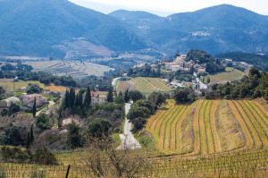 10189--HOCQUEL_A_-_VPA-1600px