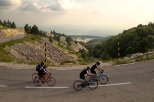 crocksandroads29 (1)