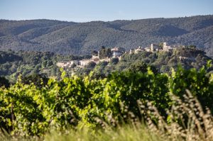 menerbes--Alain-Hocquel-2984.jpg-1600px